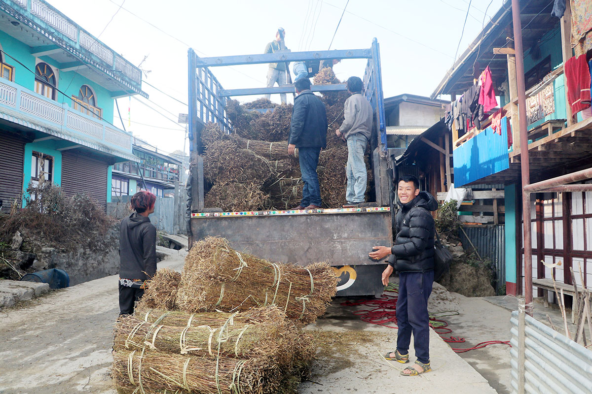 पूर्वीनाकाबाट ८ करोडको जडीबुटी निर्यात