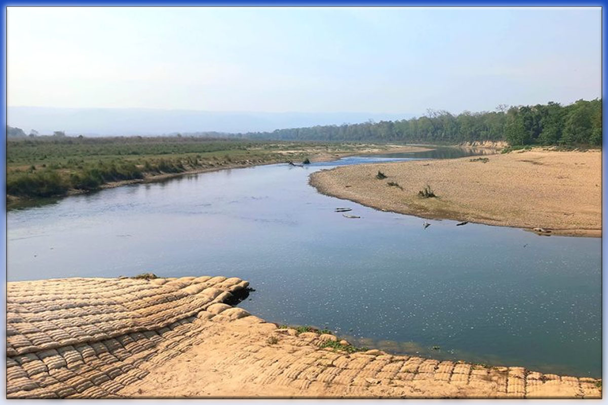 नदी प्रदूषणले यसरी जोखिममा पर्दैछ निकुञ्जको परिस्थितिकीय प्रणाली