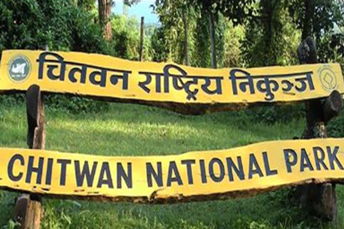 लयमा फर्किँदै सौराहाका पर्यटन व्यवसाय