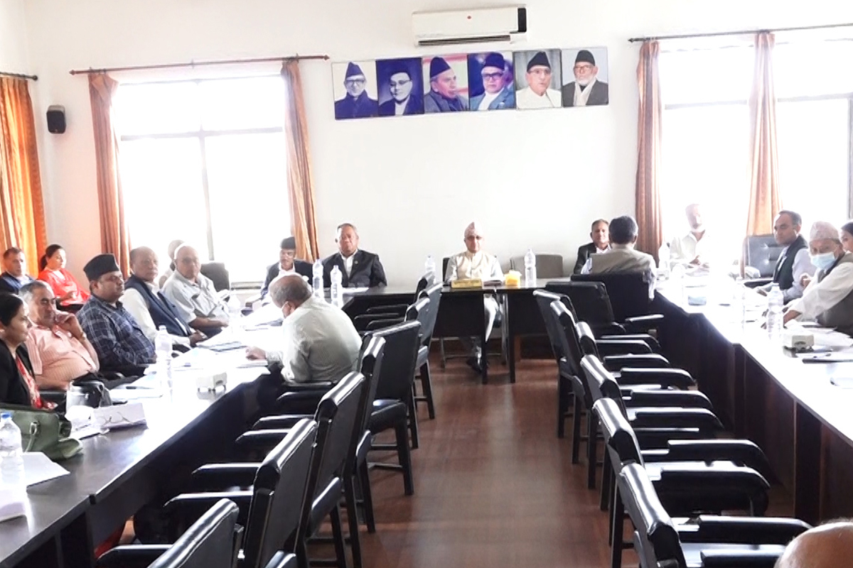 स्थानीय तह निर्वाचनबारे कांग्रेसको समीक्षा प्रतिवेदन पारित