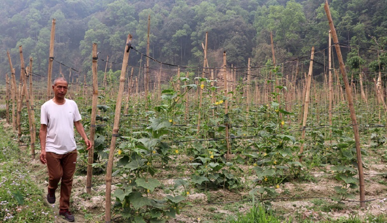 कृषि उपज संकलन र बिक्री केन्द्रबाट कृषक लाभान्वित