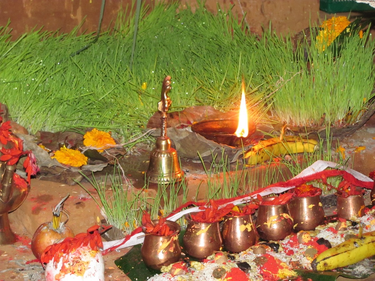 आज घरघरमा फूलपाती भित्र्याइँदै