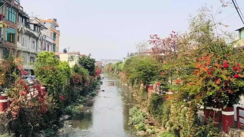 फूलैफूलले सजियो धोबीखोला कोरिडोर