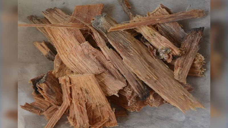 पुस्तौंदेखि दियालोकै भरमा मुगुबासी