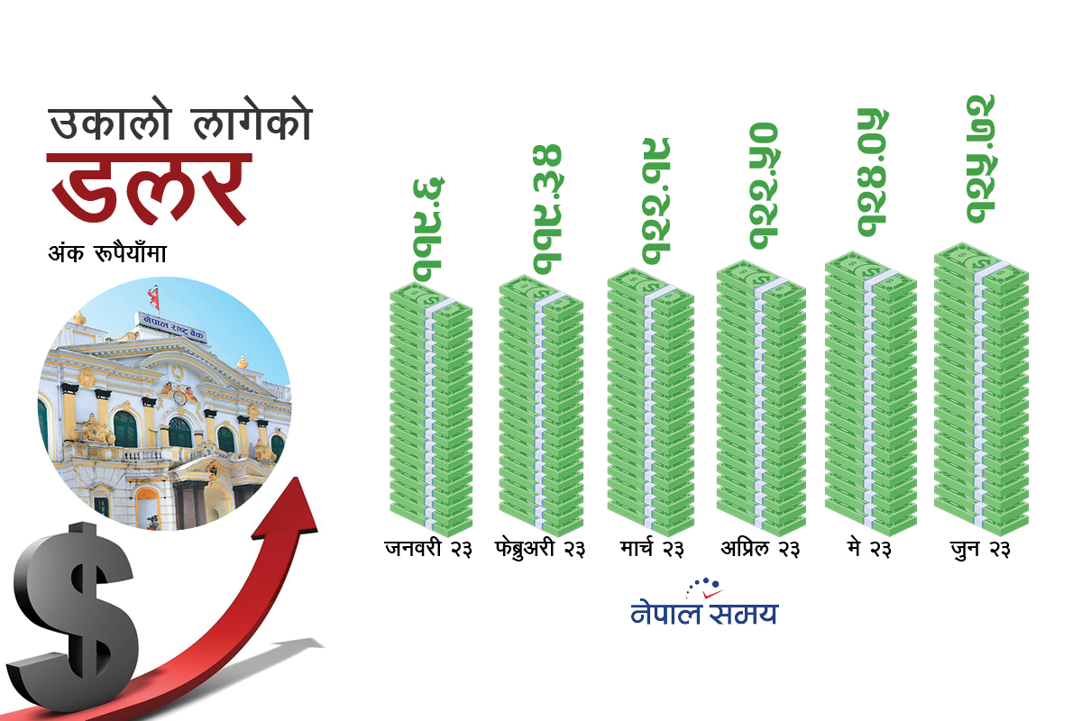 डलरको डर : आयातित अर्थतन्त्रलाई खतराको घण्टी