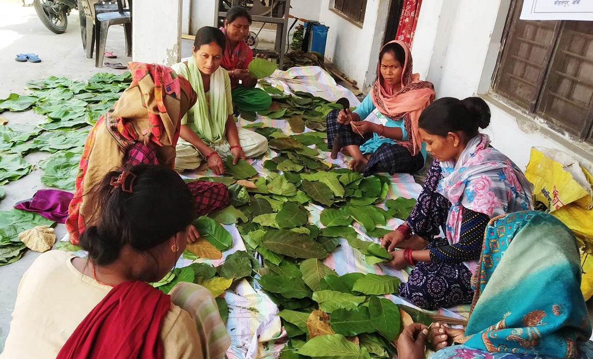 दुनाटपरीमा रमाउँदै-कमाउँदै