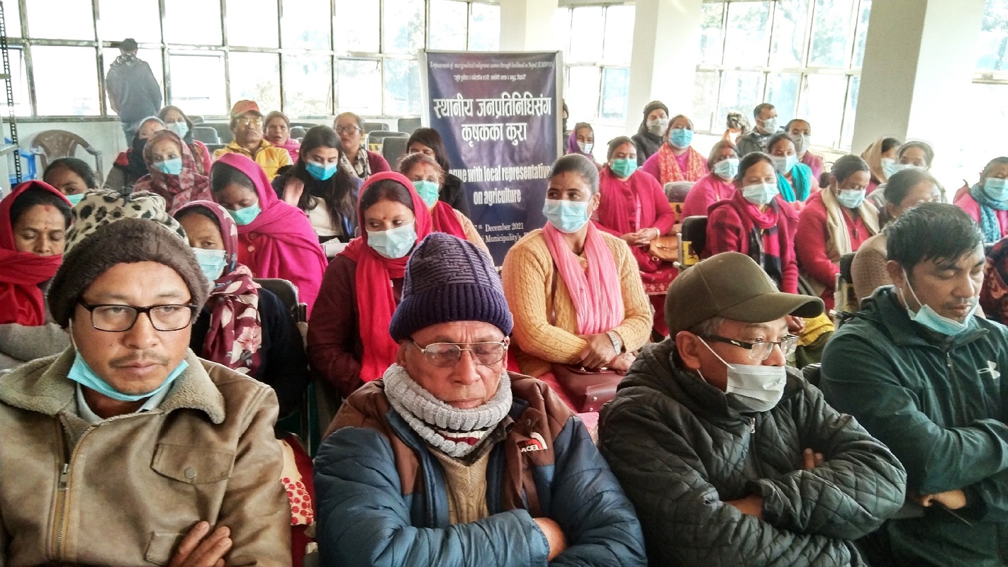 गोदावरी नगरपालिकाको कृषि अनुदान : किसानको गुनासै गुनासो