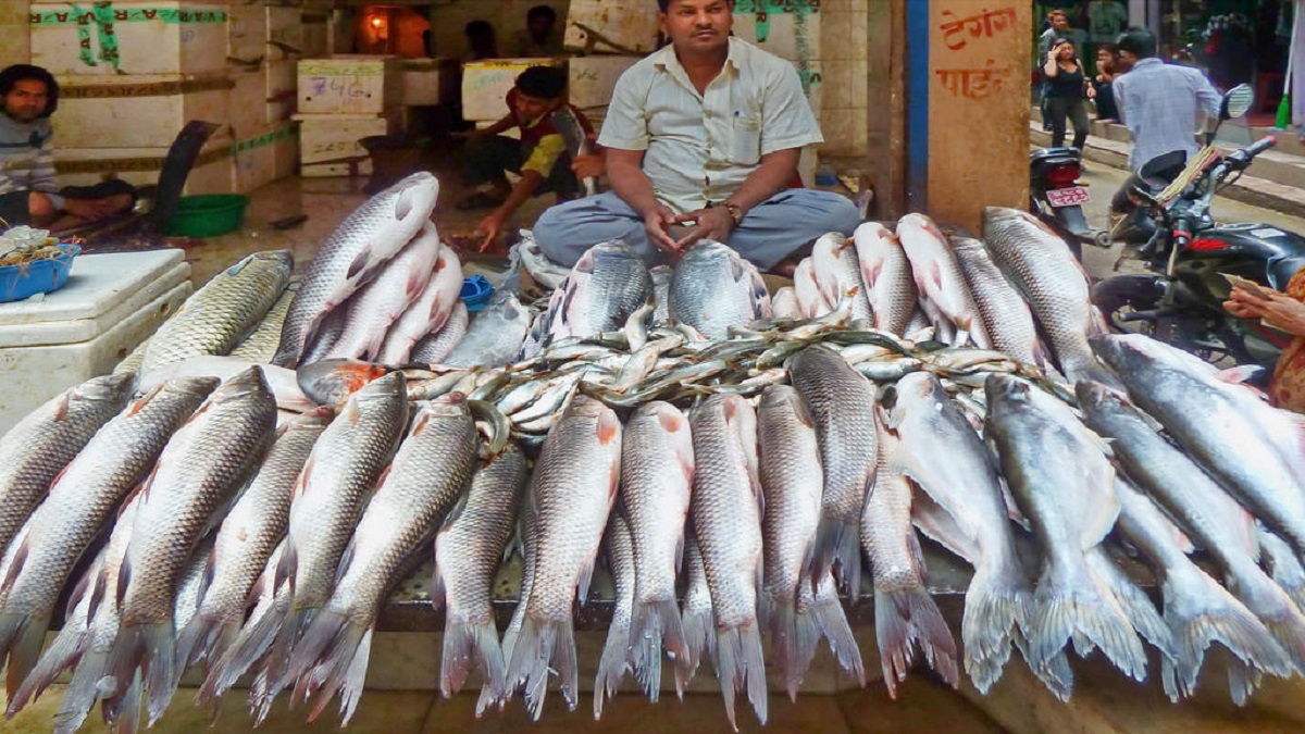 शिवसताक्षीमा फर्मालिन प्रयोग भएका माछा बिक्रीमा प्रतिबन्ध