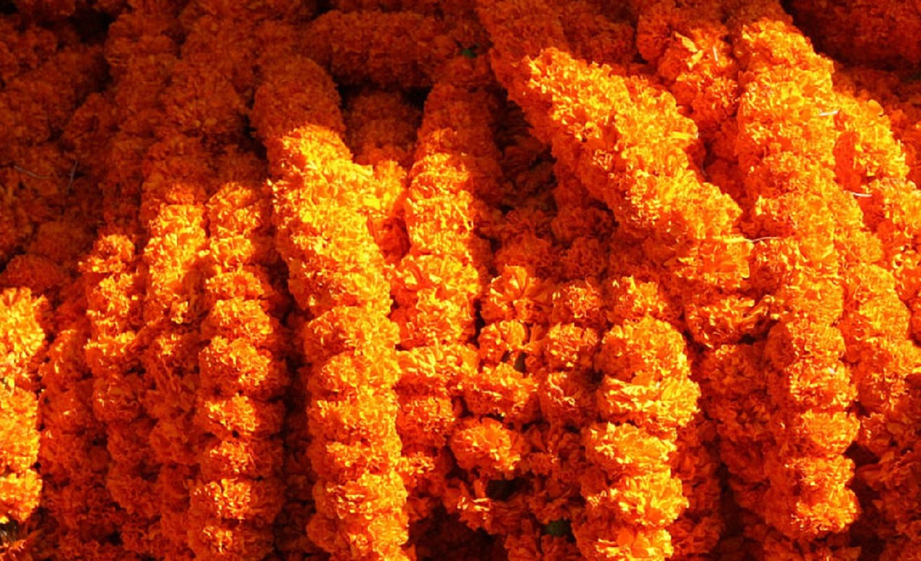 तिहार लक्षित विदेशी फलफूलको प्रभाव बढ्दै