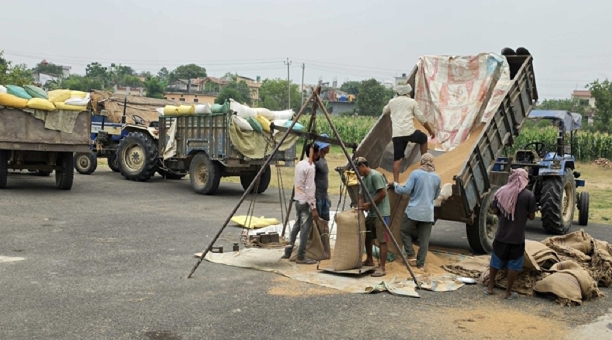 समर्थन मूल्यभन्दा बढीमा गहुँ बेच्न पाउँदा किसान खुसी