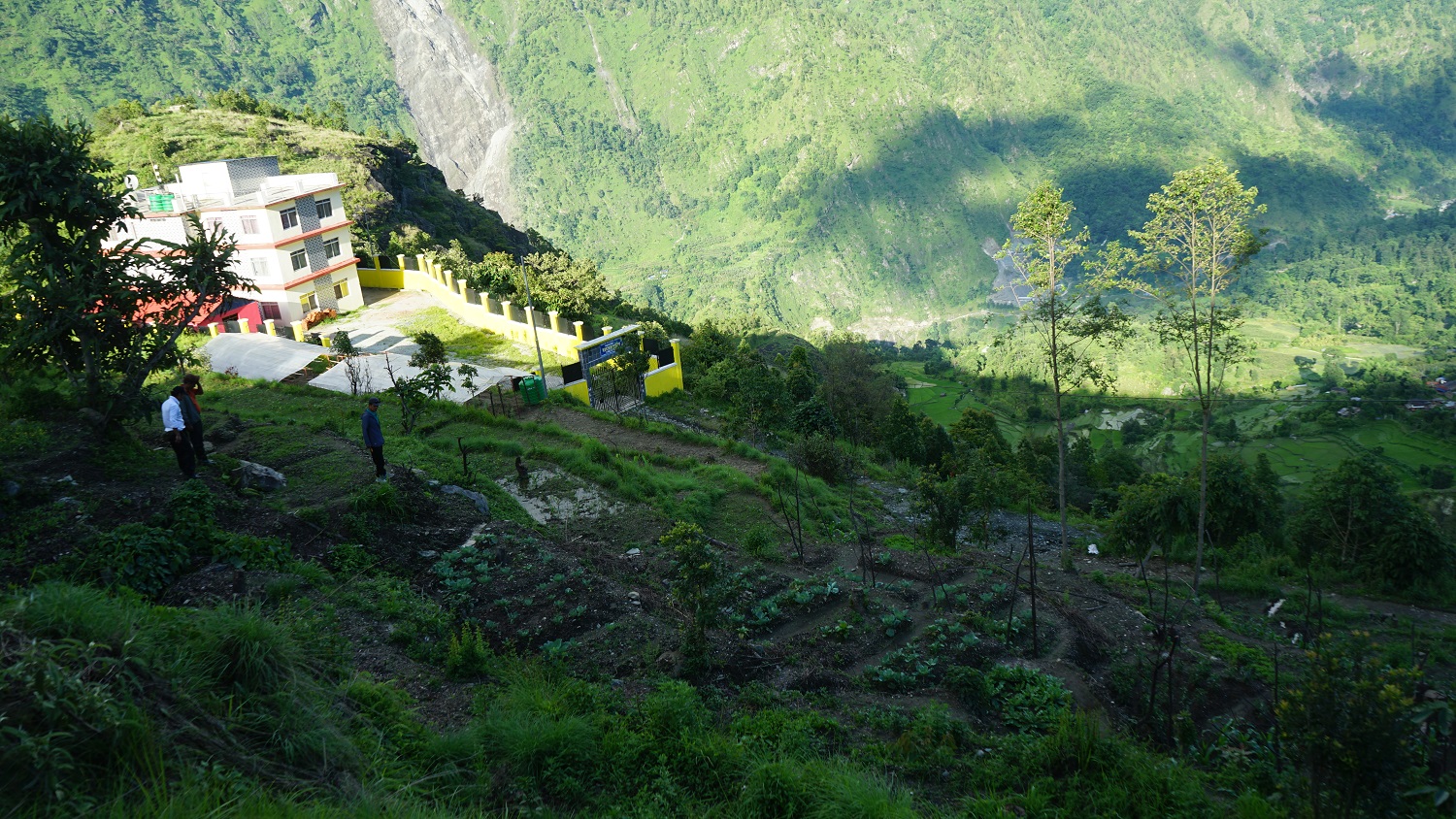 बाँझिएको पाखोबारीमा झाडी फाडेर तरकारी खेती