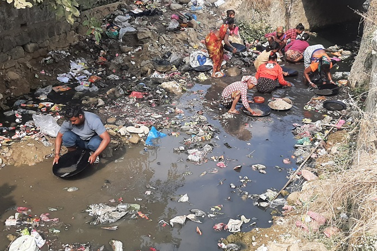 फोहरमा पनि सुन फल्छ