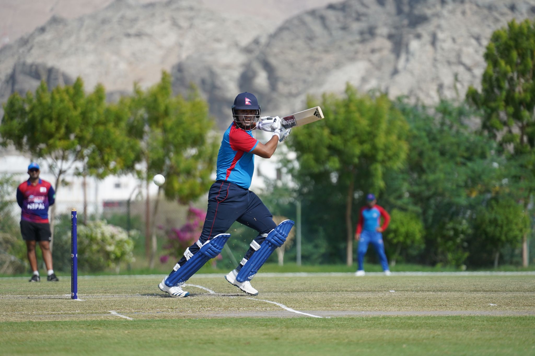 पूर्वकप्तान ज्ञानेन्द्र भन्छन्- विगत बिर्सिएर क्रिकेटको भविष्यका लागि अघि बढ्नुपर्छ [भिडियो]