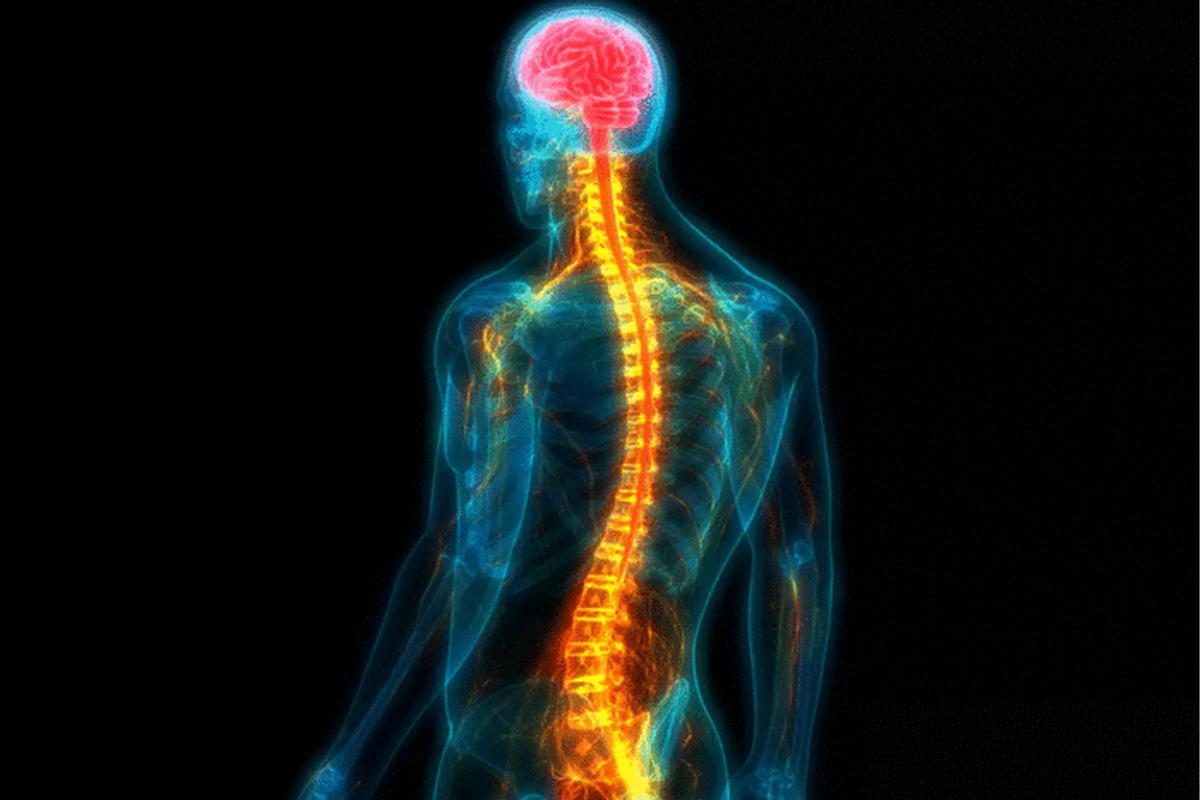 पहिलो पटक विश्वमा ढाडको हड्डी निर्माणमा सफलता