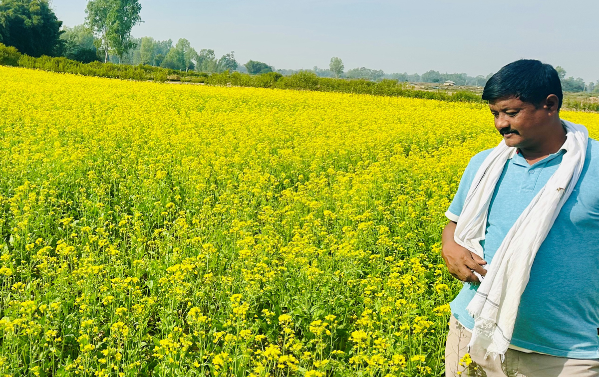 जनयुद्धका सपना थाँती राखेर कृषिमा होमिएका हरिनारायण