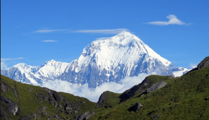 चट्याङबाट घाइते यार्सा संकलक हिमाली भेगमै अलपत्र