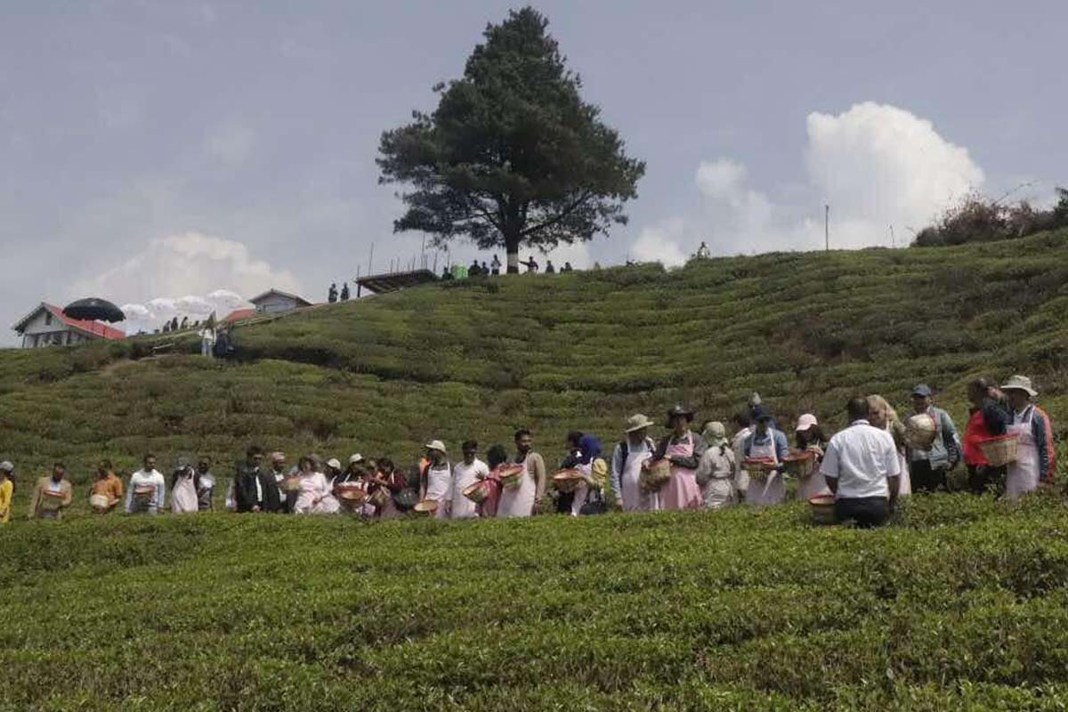 कुटनीतिक प्रतिनिधिलाई इलामको पर्यटकीय अनुभव