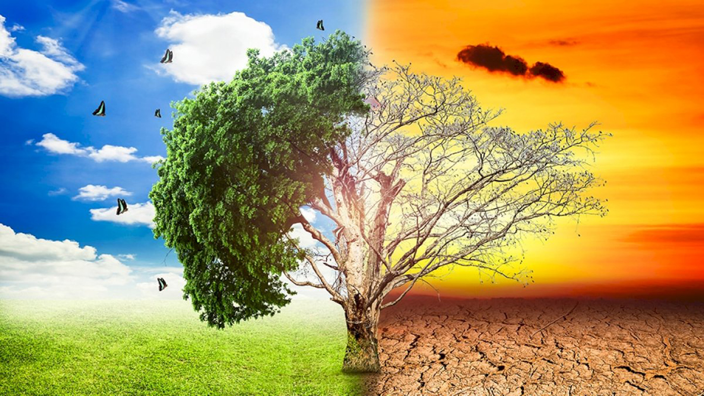 मानव सभ्यतालाई खतराको घण्टी ! ९ वर्षमा १.५ डिग्री सेल्सियस तात्नेछ पृथ्वी