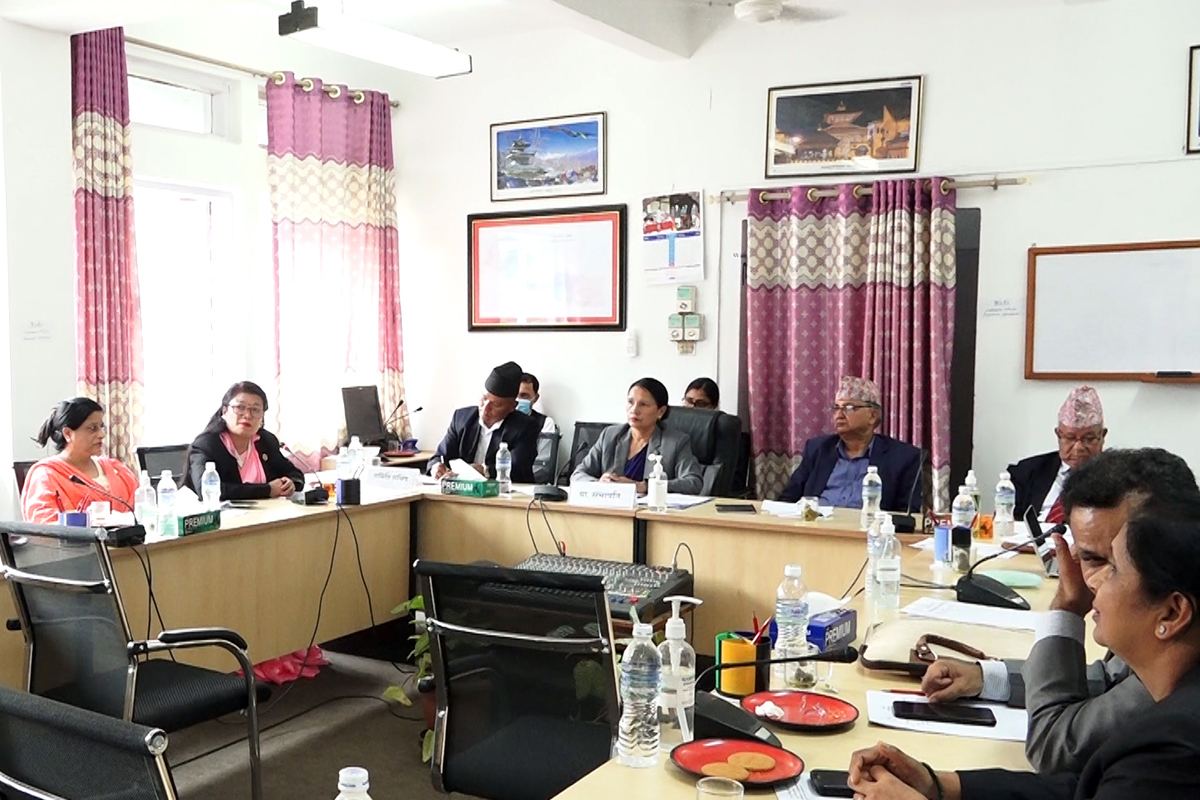 'संसदीय समितिमा एसपीपीबारे हल्ला र अनधिकृत कागजातको भरमा छलफल'