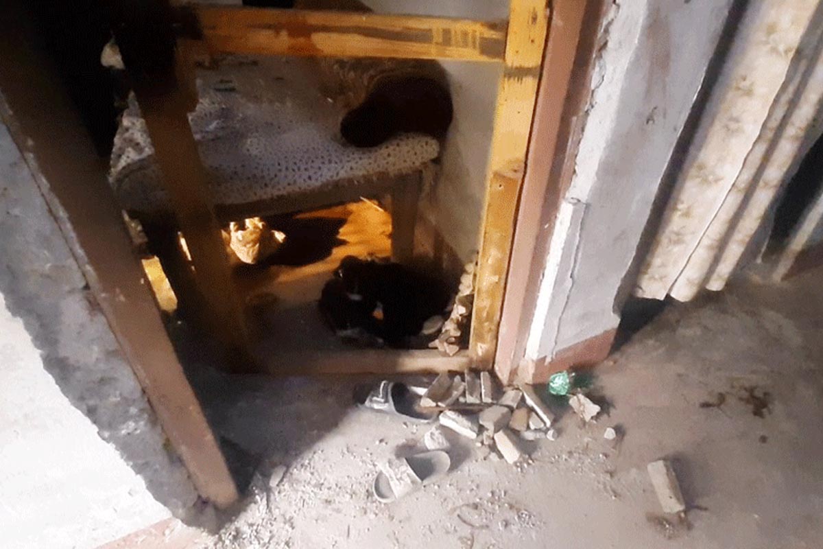 इटहरी विस्फोटको 'तार' हिन्दू अतिवादीतिर