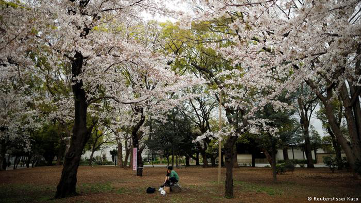 जापान जाने विद्यार्थीलाई कूटनीतिक पहल गरेर पठाउने व्यवस्था मिलाउन सरकारलाई निर्देशन