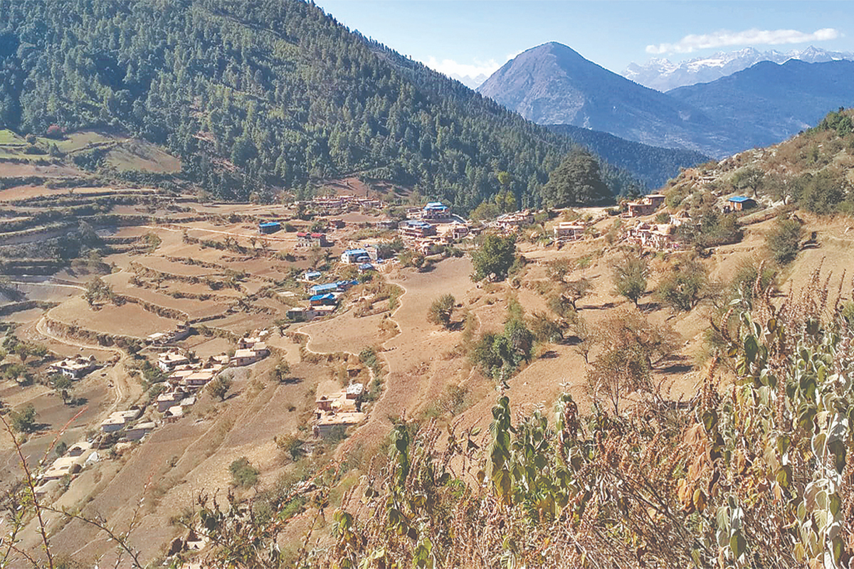 किसानका दु:ख– वर्षा र हिमपात नहुँदा सुक्दैछ हिउँदे बाली
