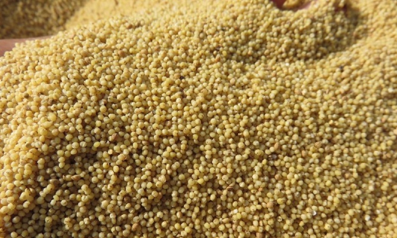 रैथाने कागुनोको माग बढ्दो
