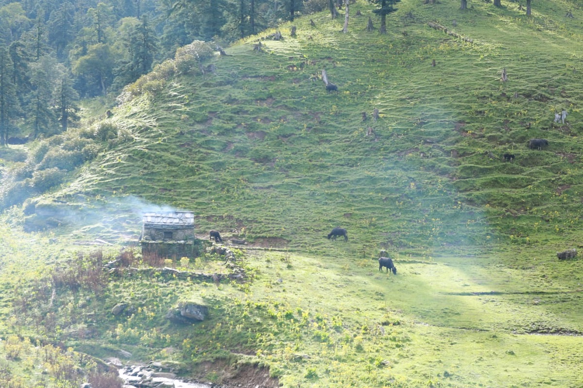 जहाँ देउता रिसाउँछन् भनेर दूध बेचिँदैन