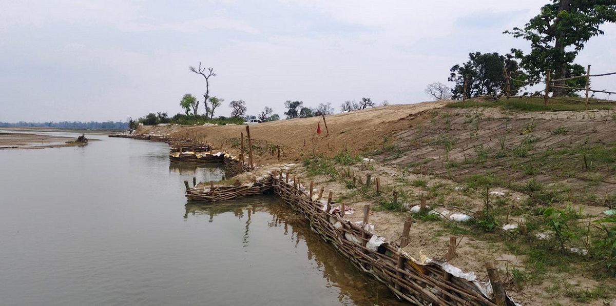 कन्द्रा नदी नियन्त्रणमा जैविक तटबन्ध प्रभावकारी बन्दै