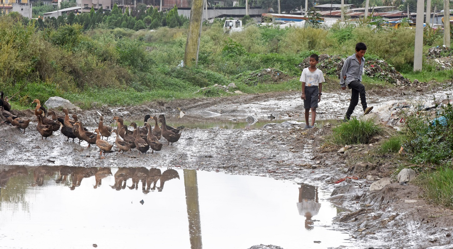 रुख काट्न अनुमति नदिँदा सडक अधुरै