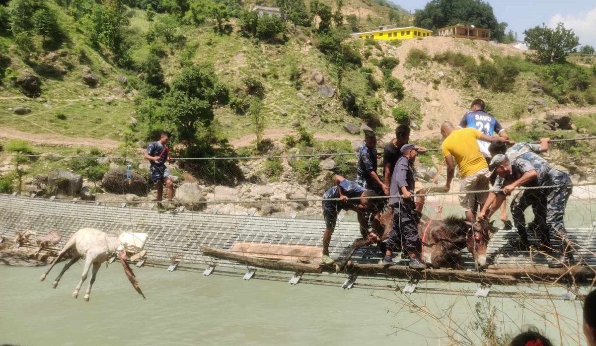 खच्चड फसेको झोलुंगे पुलबाट आवतजावत बन्द