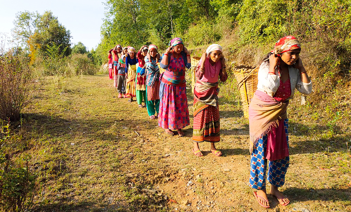 खानेपानीको दुःख