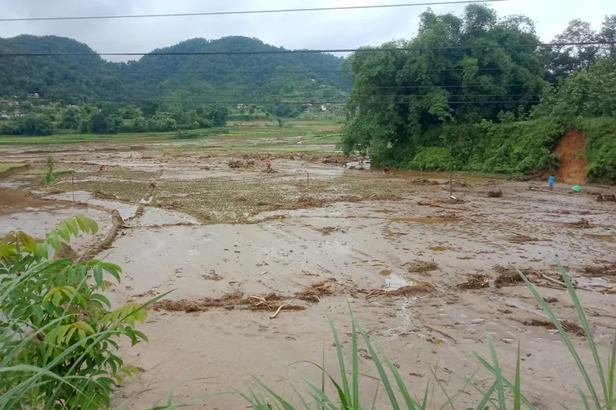 खेत बगरमा परिणत भएपछि ...