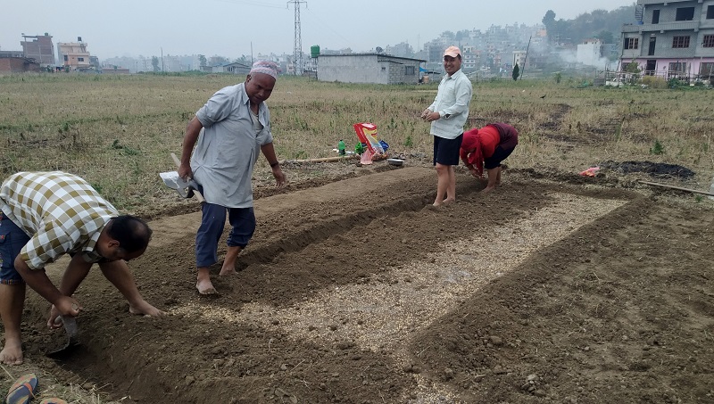 चखुफाँटमा धानको बीउ राख्न व्यस्त किसान परिवार