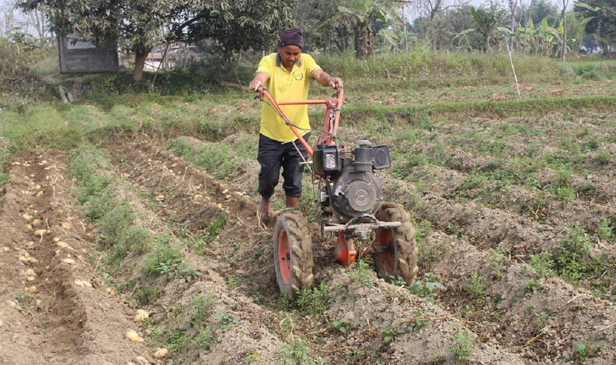 आलु खेतीमा आधुनिक यन्त्र प्रयोग गर्दै  किसान