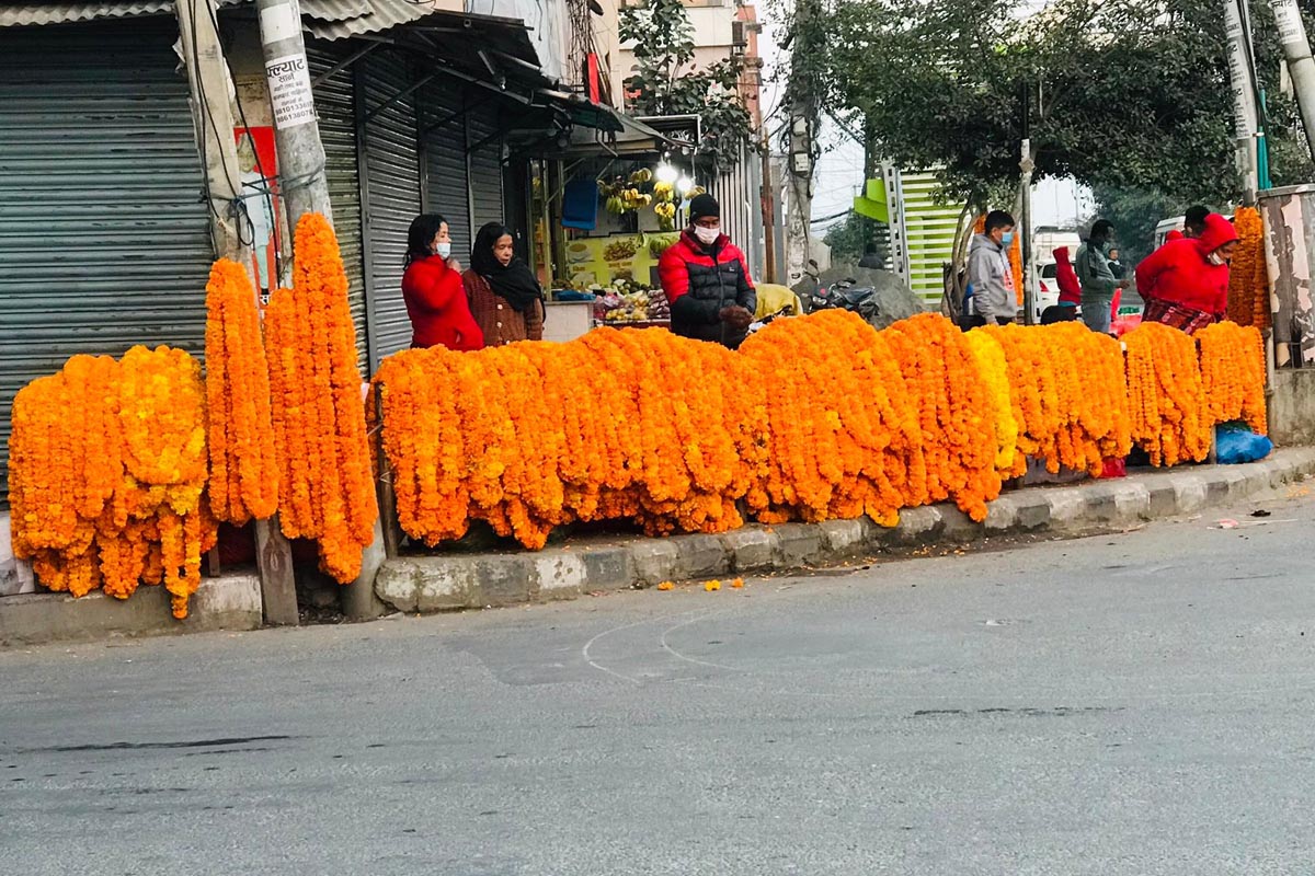 चितवनमा तिहारका लागि फूल र मालाको मूल्य निर्धारण