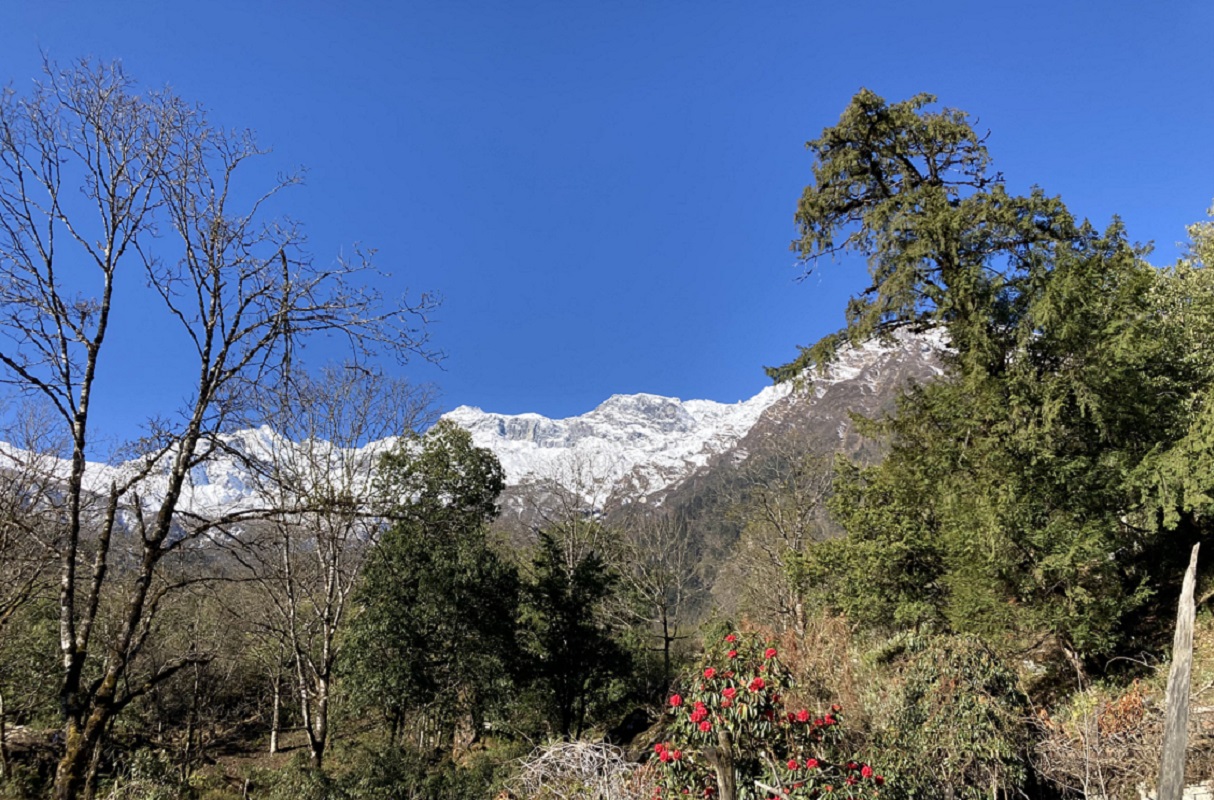 शरदऋतुमा हिमाल चढ्न २० देशका पाँच दर्जन बढीले लिए अनुमति