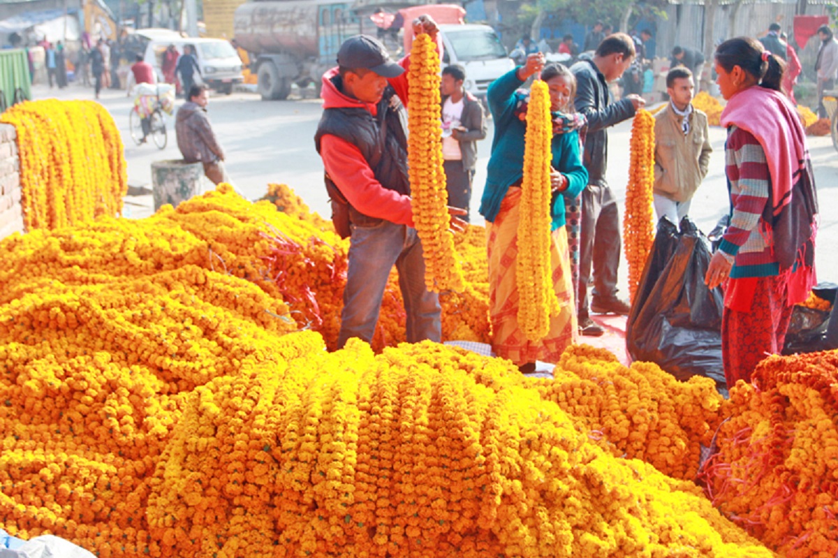 काठमाडौं महानगरले तोक्यो फूल बेच्न ४६ ठाउँ