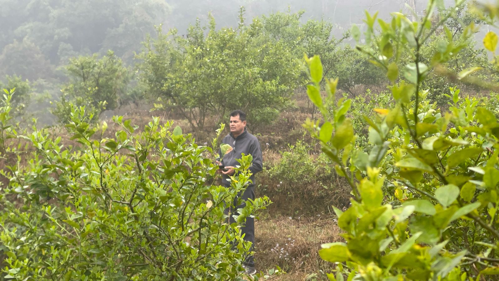 जनसेवासँगै कागती स्याहार्दै मेयर