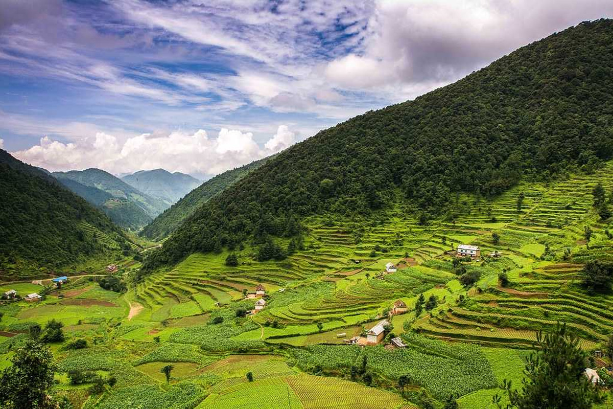 वातावरणीय बेवास्ताका कारण नासिँदै प्राकृतिक सम्पदा