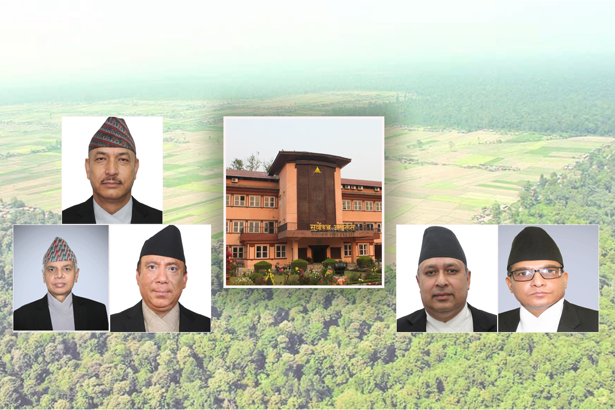 निजगढ विमानस्थल निर्माणसम्बन्धी मुद्दामा बहुमतको फैसला, दुई न्यायाधीशको फरक राय