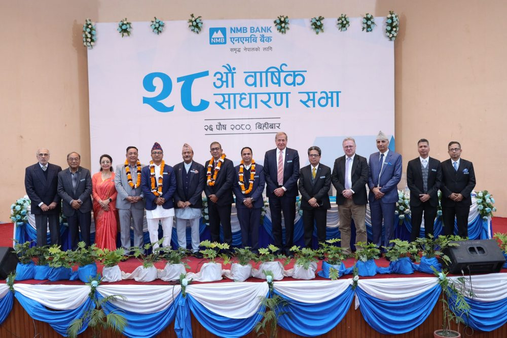 एनएमबि बैंकको अध्यक्षमा मनोज गोयल चयन