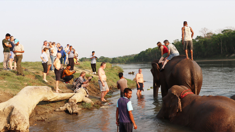 चितवन निकुञ्जमा हुने पर्यटकीय गतिविधिमा रोक