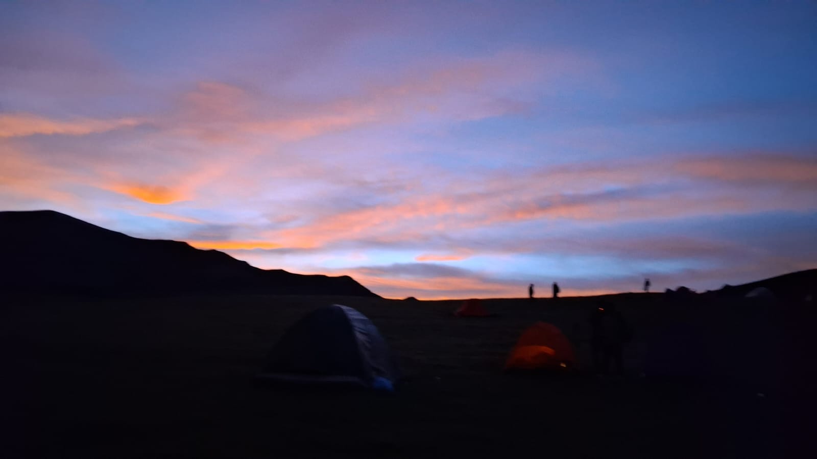 photo-16_c6178b20-1787635964.jpeg