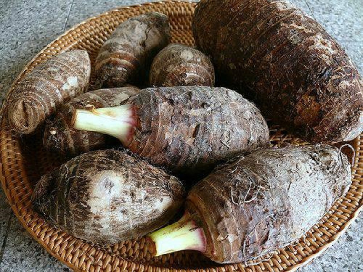 उदुवाभन्दा पिँडालु महँगो