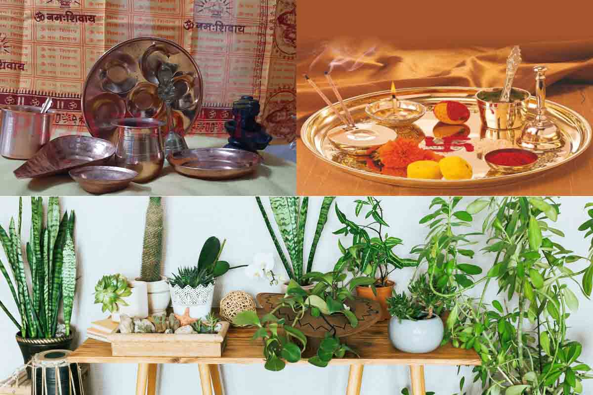 पूजा सामग्री र फूलका बोटबिरुवा चाहियो? अब घरमै आइपुग्छ सामान