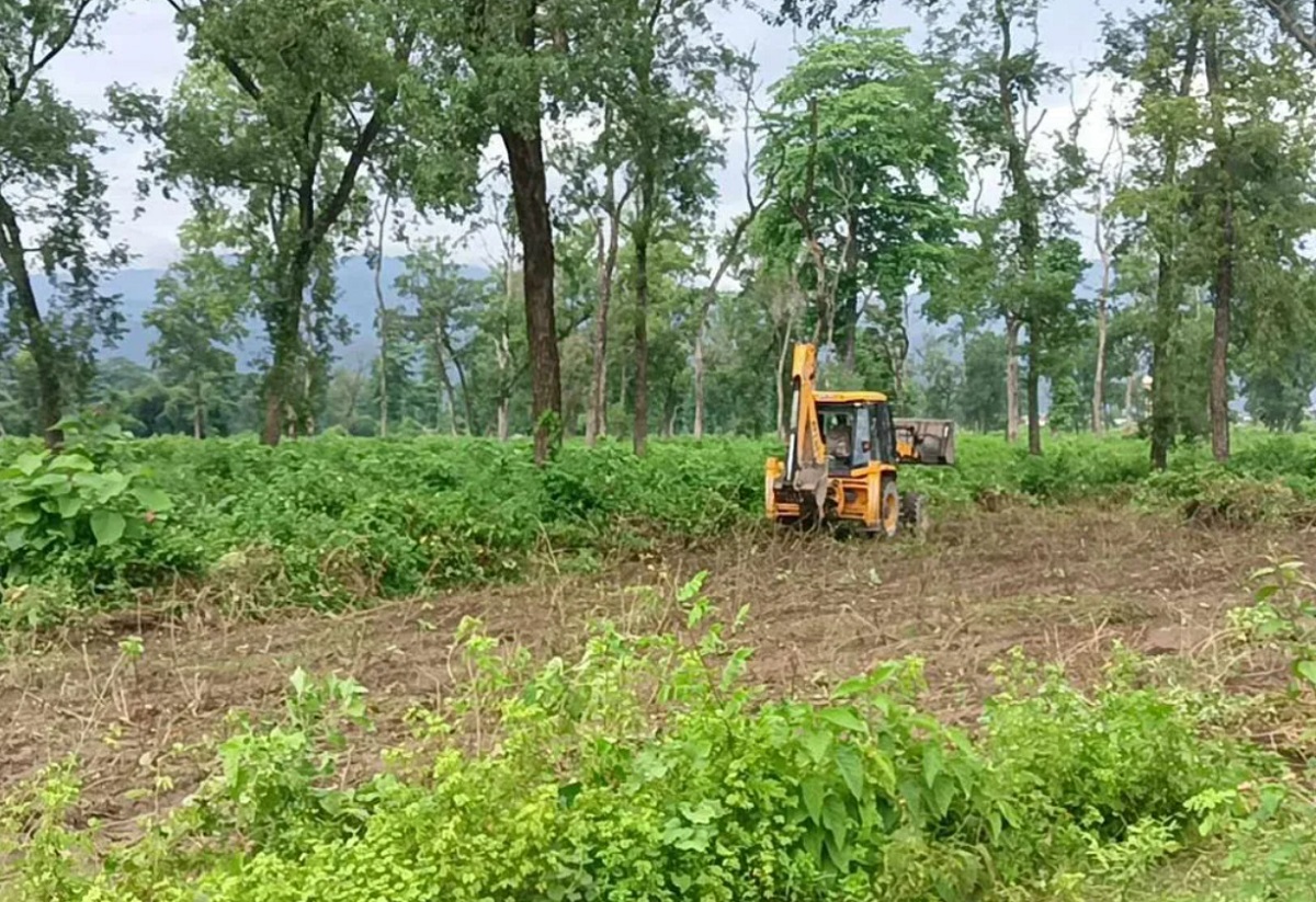 रुख कटानको अनुमतिसँगै नमुना सदरमुकाम निर्माणको बाटो खुल्यो