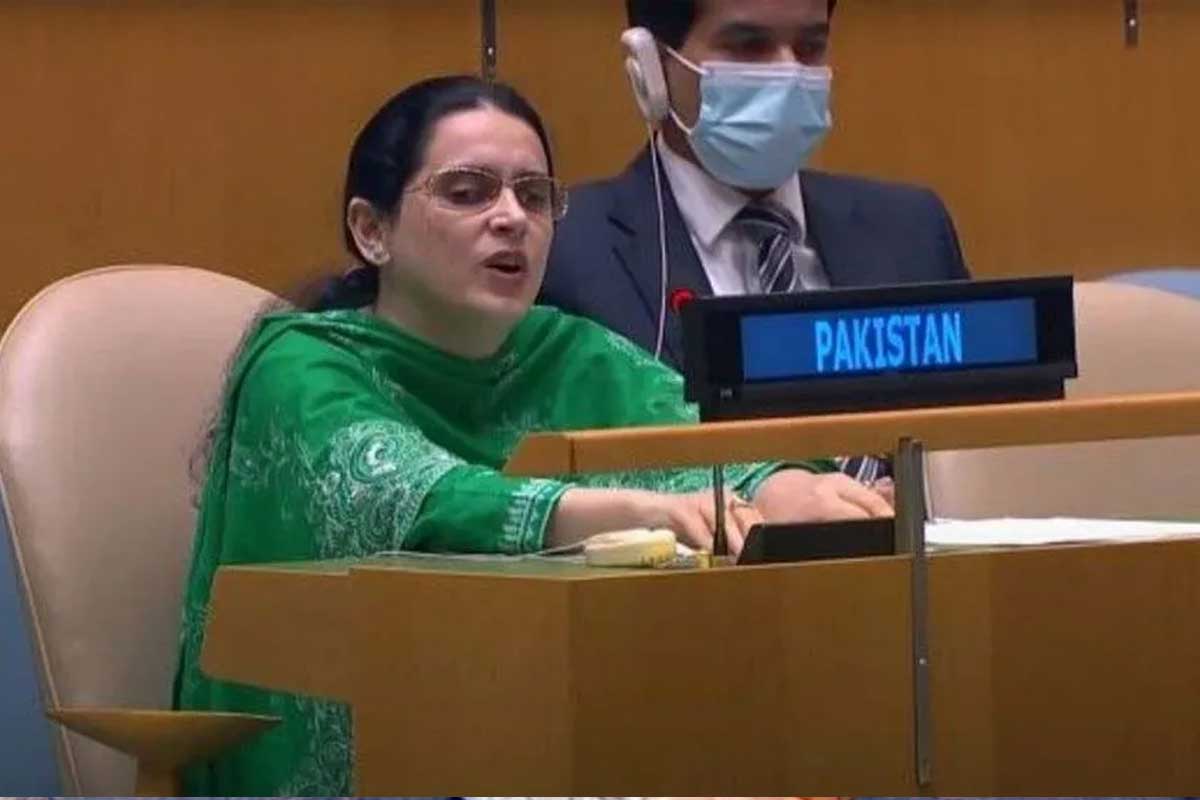 पाकिस्तानले भन्‍यो - भारत आतंकवादको प्रायोजक हो, जम्मु-काश्‍मीर भारतको आन्तरिक मामिला होइन