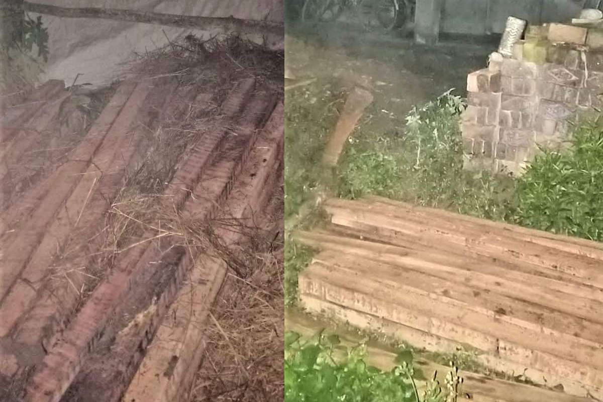 कैलालीमा ५० थान सालका कडी बरामद