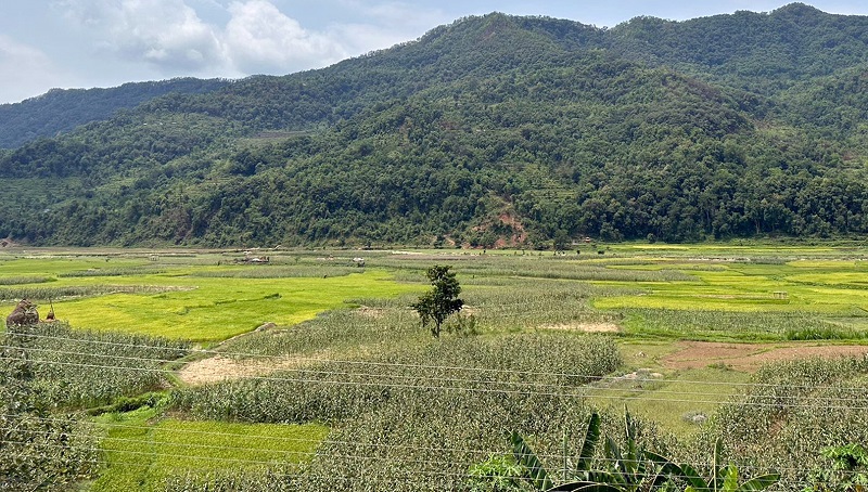 धान उत्पादनका लागि प्रख्यात साँगेफँट